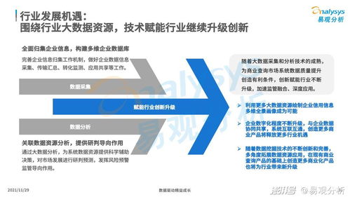 商業查詢 社會信用基石與中國市場發展機遇——兼論旅游開發項目策劃咨詢